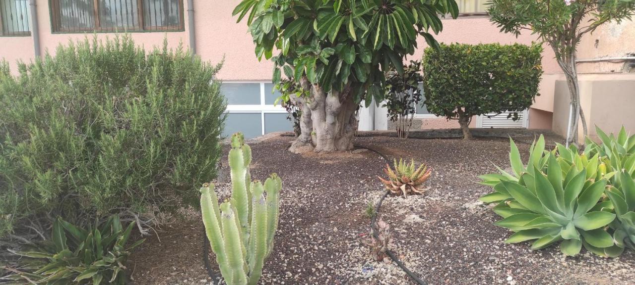Acapulco Paradise Playa Feñabe Eksteriør bilde